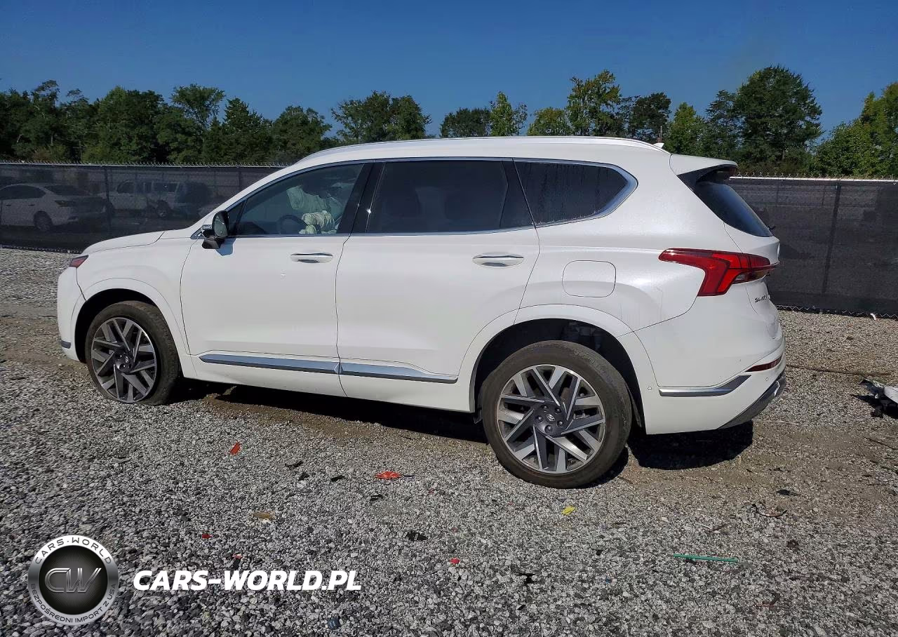 2022 Hyundai Santa Fe Calligraphy VIN:5NMS5DAL4NH457055 - 2
