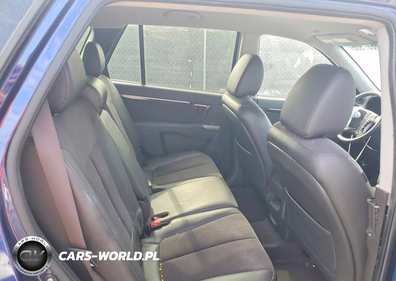 2010 Hyundai Santa Fe Se VIN:5NMSHDAG3AH377203 - 10