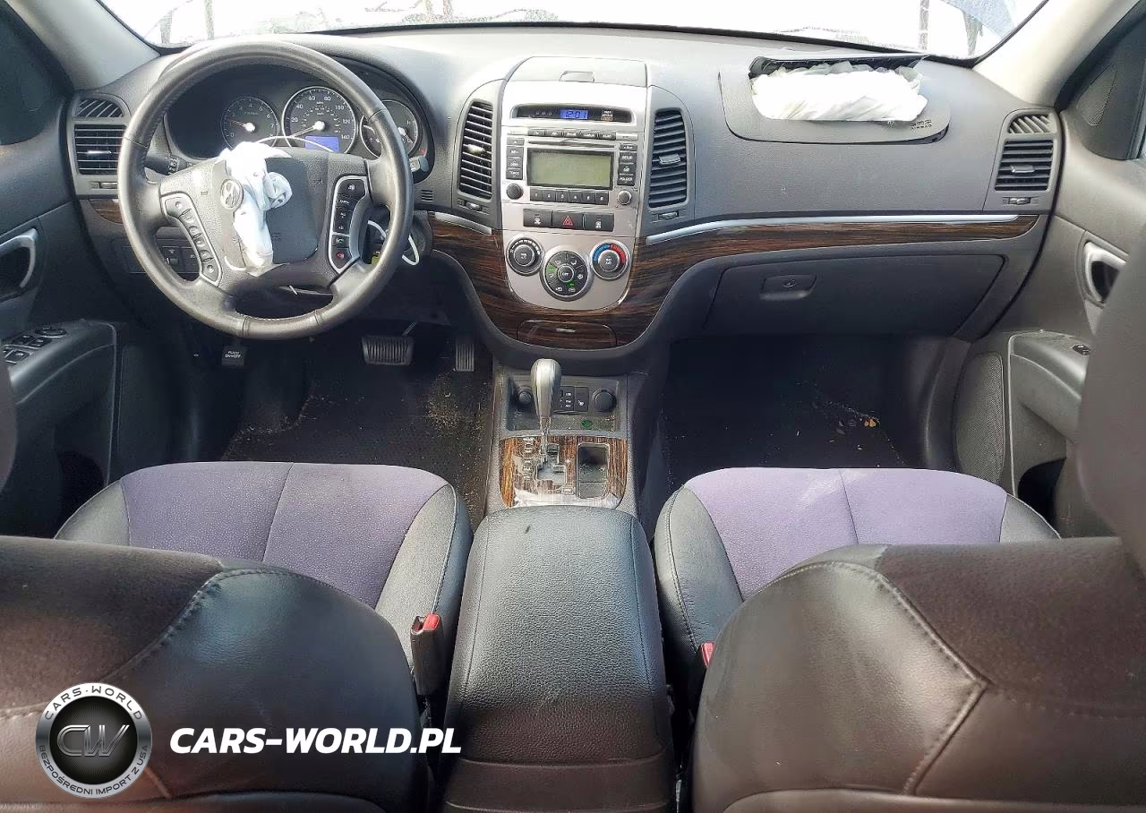 2010 Hyundai Santa Fe Se VIN:5NMSHDAG3AH377203 - 8