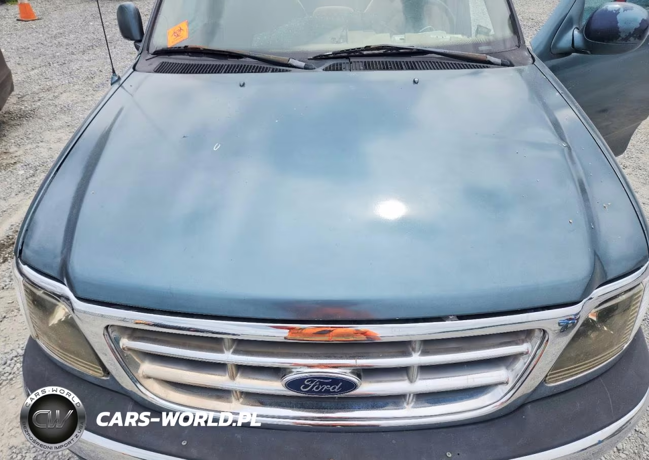 1999 Ford F150 VIN:1FTZF1729XNA68877 - 11