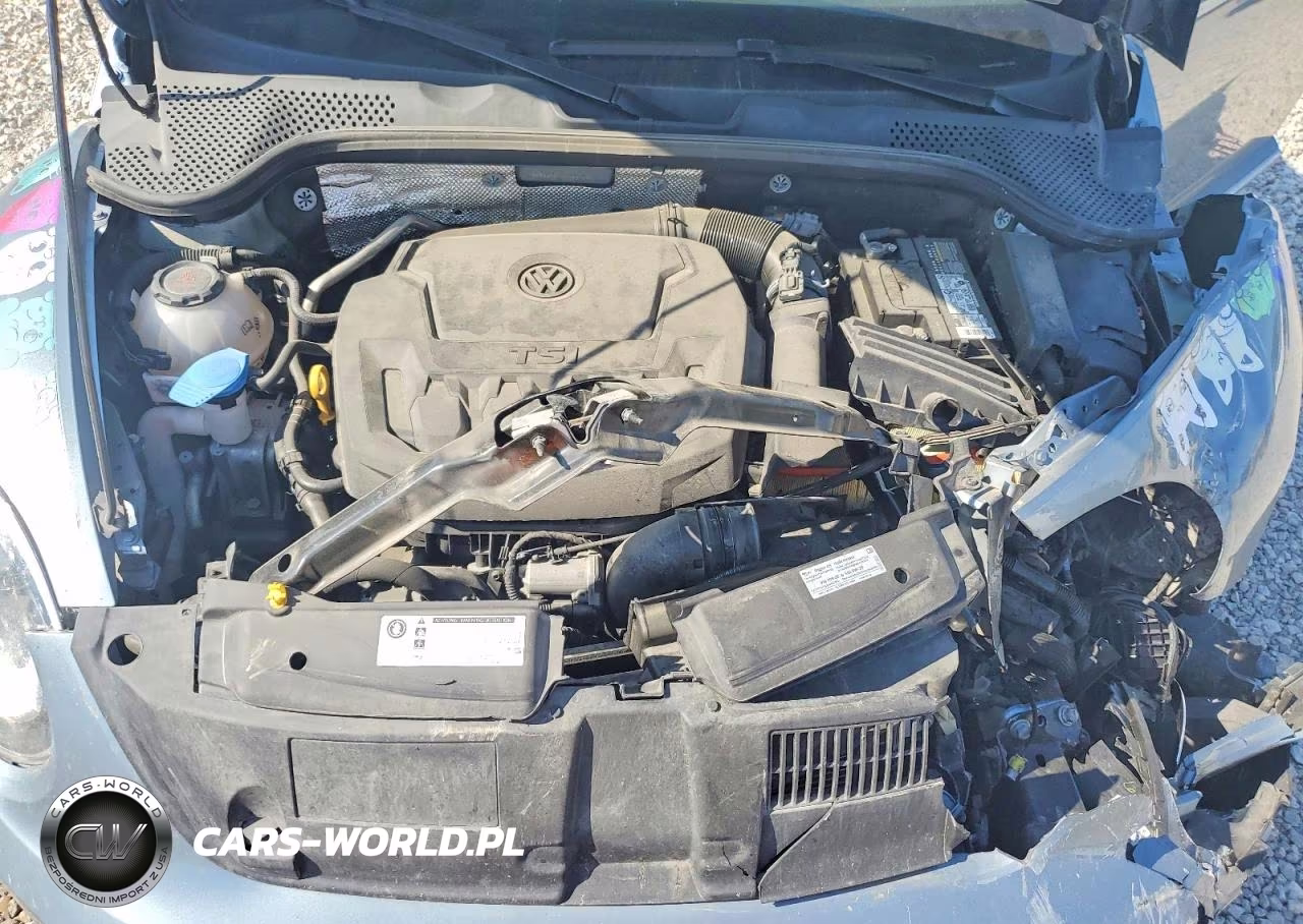 2019 Volkswagen Beetle S VIN:3VW5DAAT4KM511202 - 11