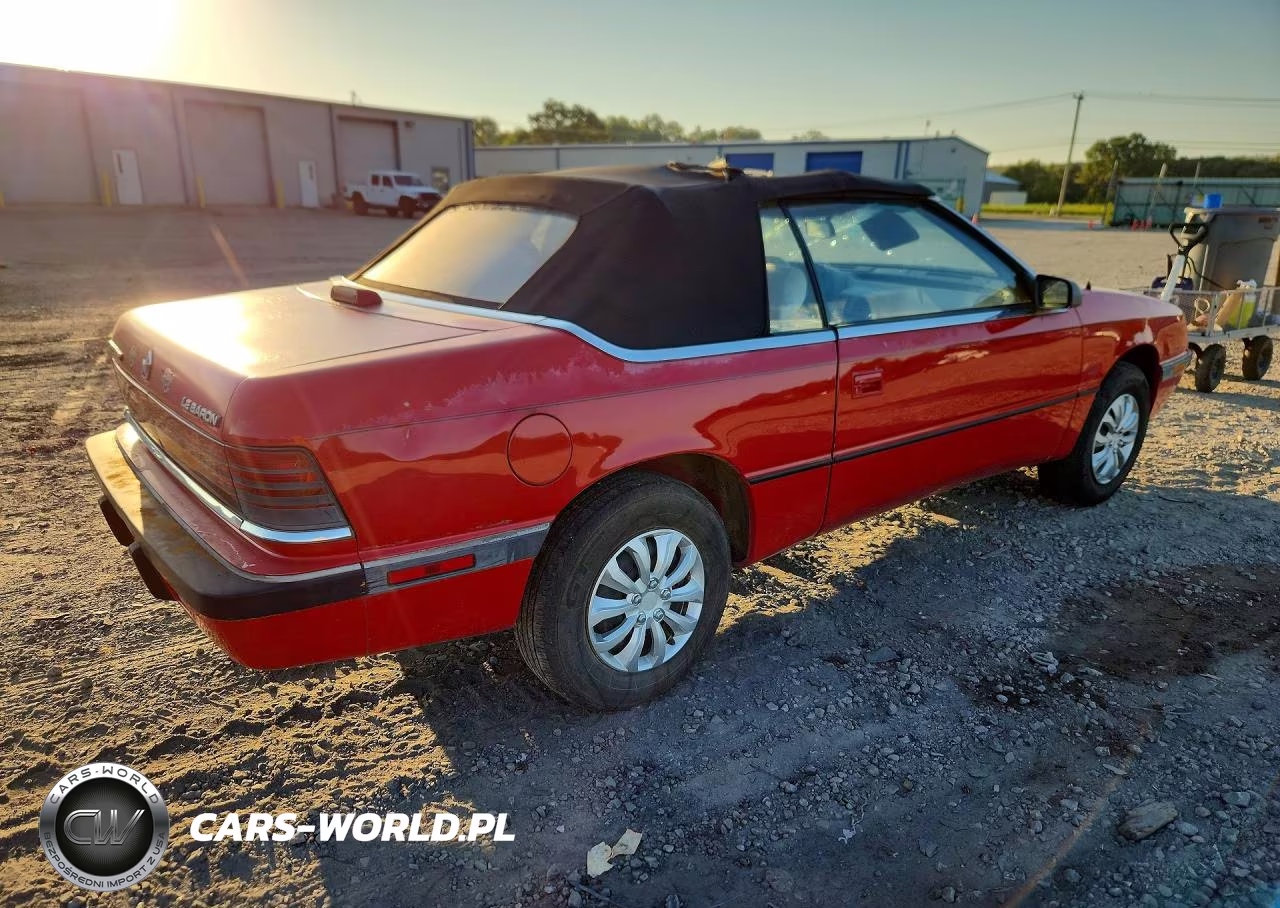 1991 Chrysler Lebaron VIN:1C3XJ4532MG139960 - 3