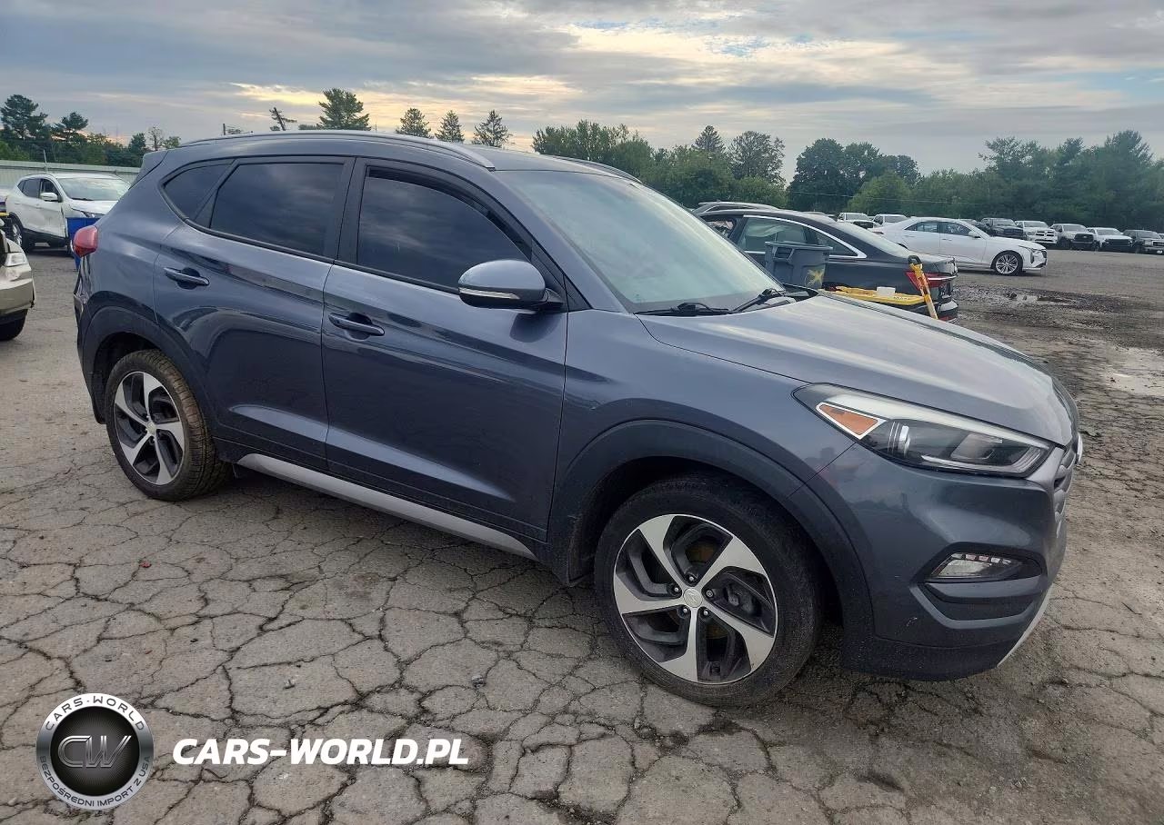 2017 Hyundai Tucson Sport VIN:KM8J3CA22HU265032 - 4