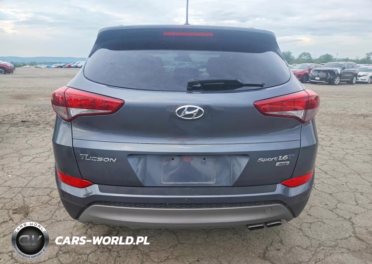 2017 Hyundai Tucson Sport VIN:KM8J3CA22HU265032 - 6