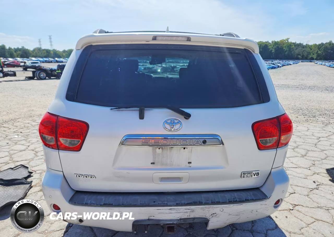 2010 Toyota Sequoia Platinum VIN:5TDYY5G17AS024592 - 6