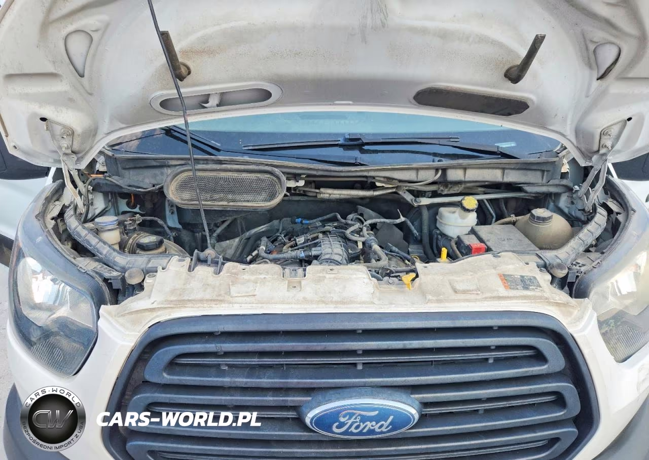 2019 Ford Transit T-250 Delivery Van VIN:1FTYR2CGXKKA96594 - 12