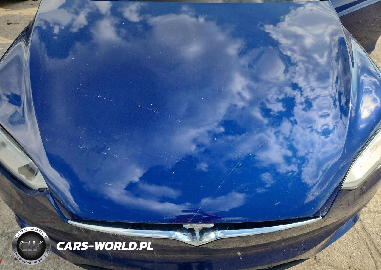 2016 Tesla Model X VIN:5YJXCAE23GF012967 - 11