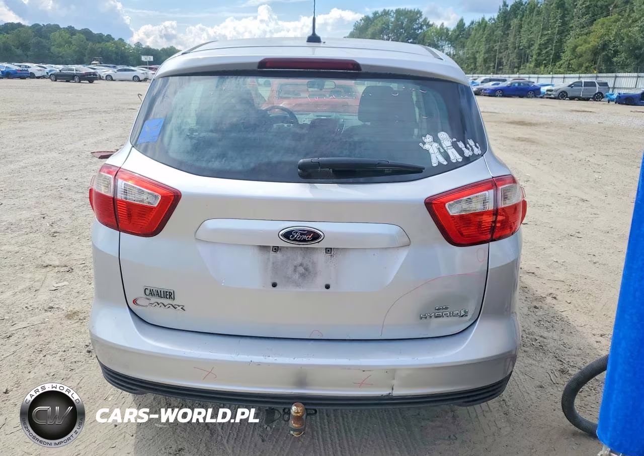 2013 Ford C-Max Se VIN:1FADP5AU8DL500803 - 6