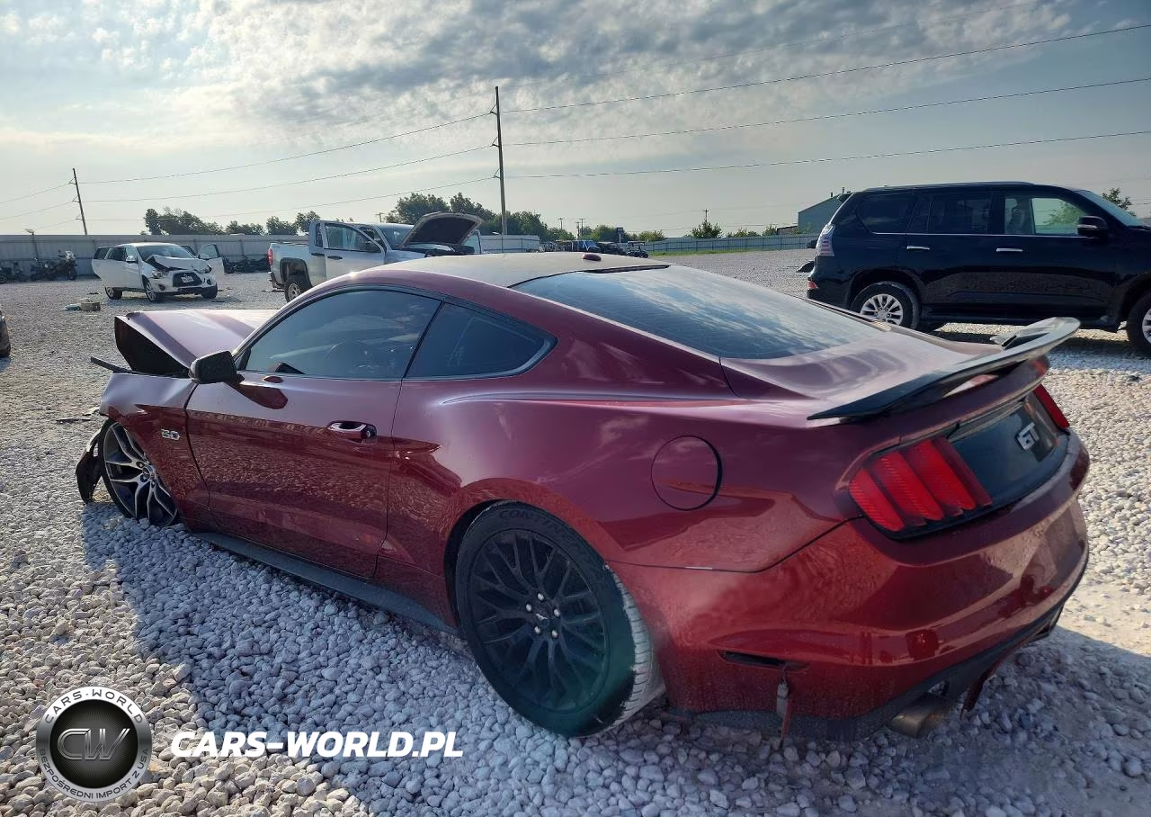 2016 Ford Mustang Gt VIN:1FA6P8CF3G5256348 - 2