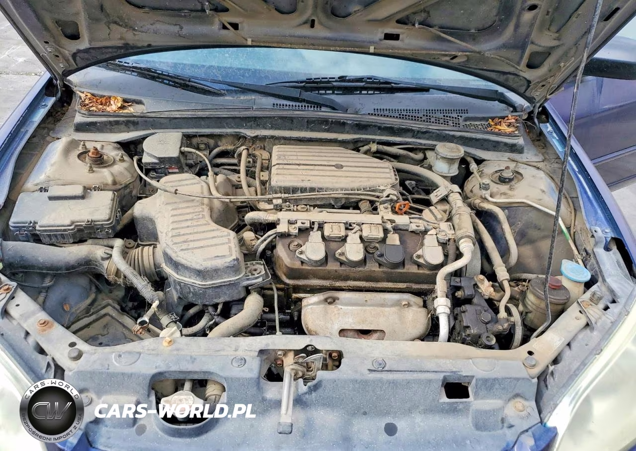 2005 Honda Civic Lx VIN:2HGES16555H612014 - 11