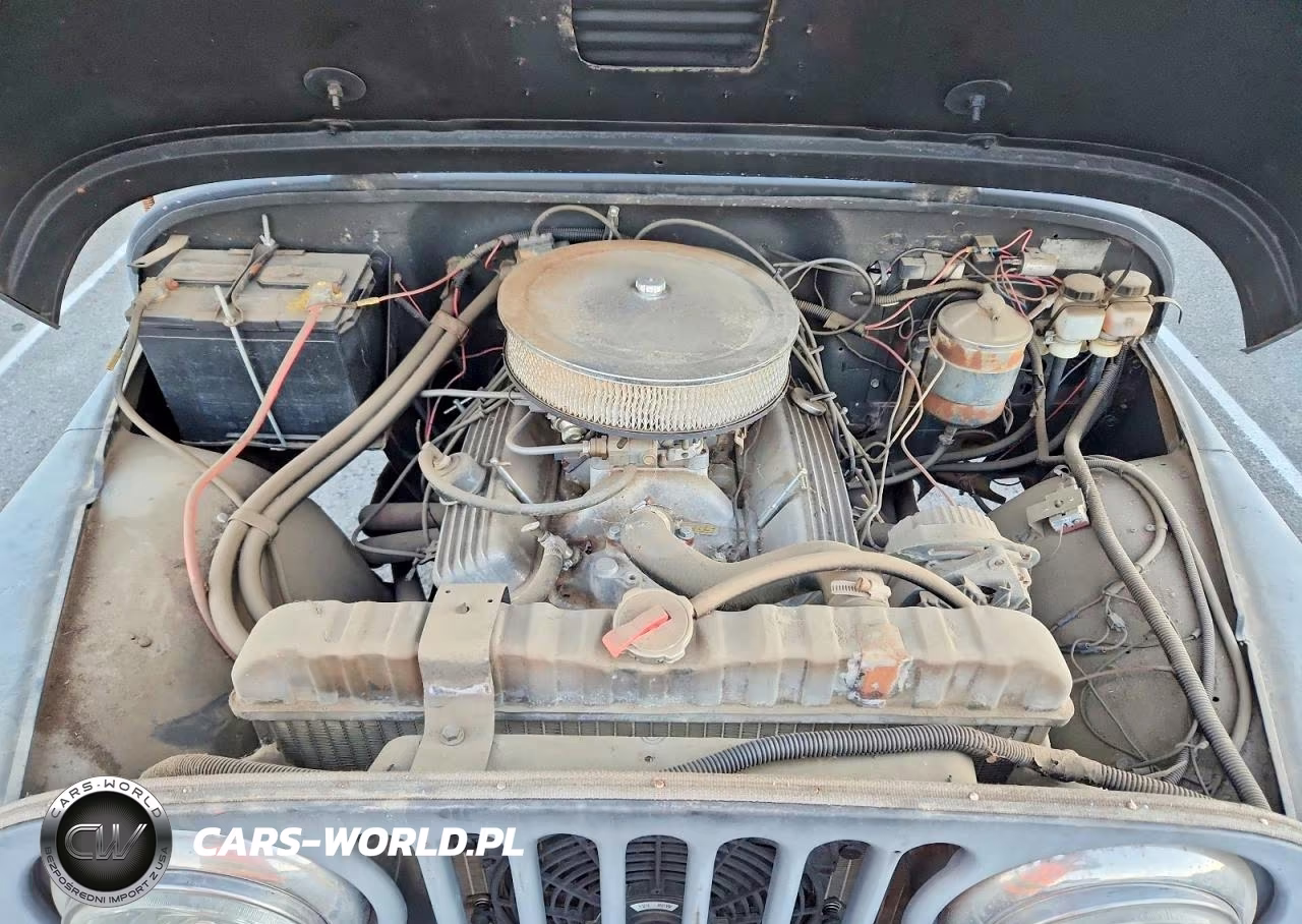 1963 Jeep Wrangler - Tj Se VIN:57548160522 - 11