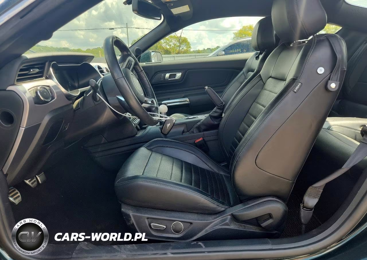 2019 Ford Mustang Bullitt VIN:1FA6P8K06K5506686 - 7