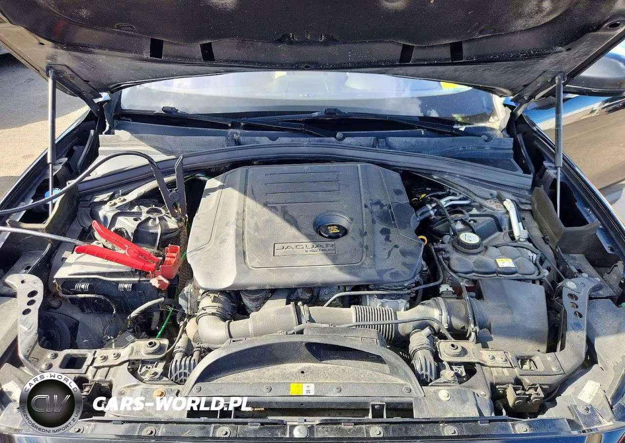 2018 Jaguar F-Pace Premium VIN:SADCJ2FNXJA294208 - 12