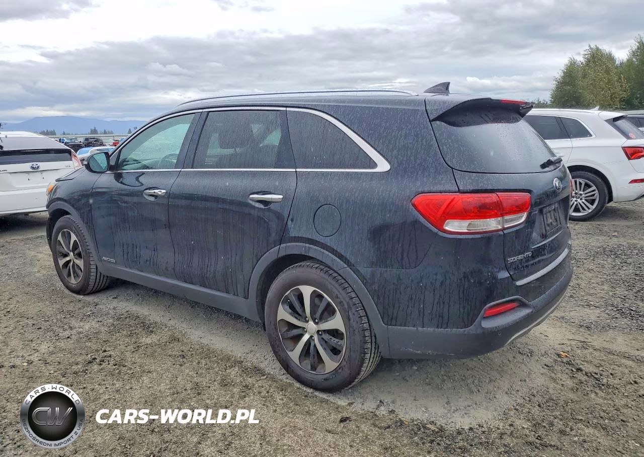 2017 Kia Sorento Ex VIN:5XYPHDA56HG312516 - 2