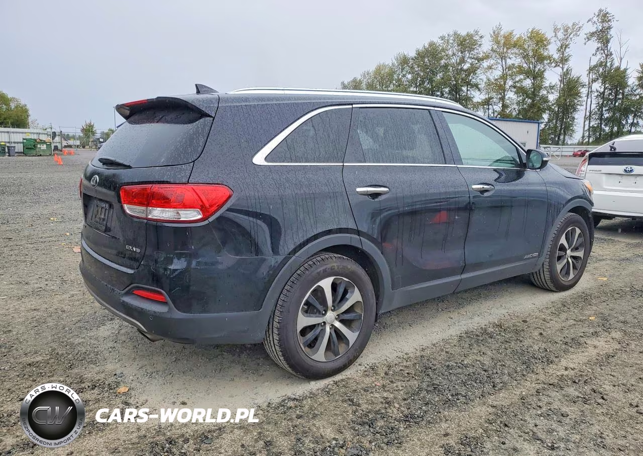 2017 Kia Sorento Ex VIN:5XYPHDA56HG312516 - 3