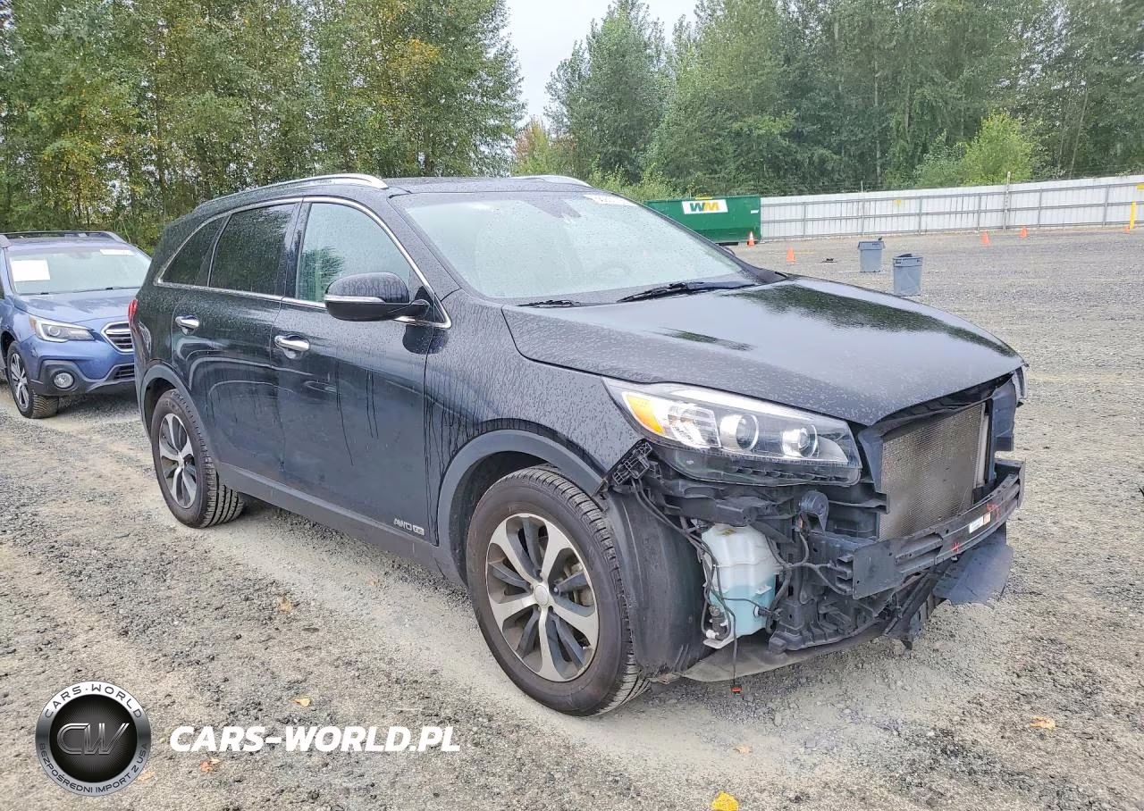 2017 Kia Sorento Ex VIN:5XYPHDA56HG312516 - 4