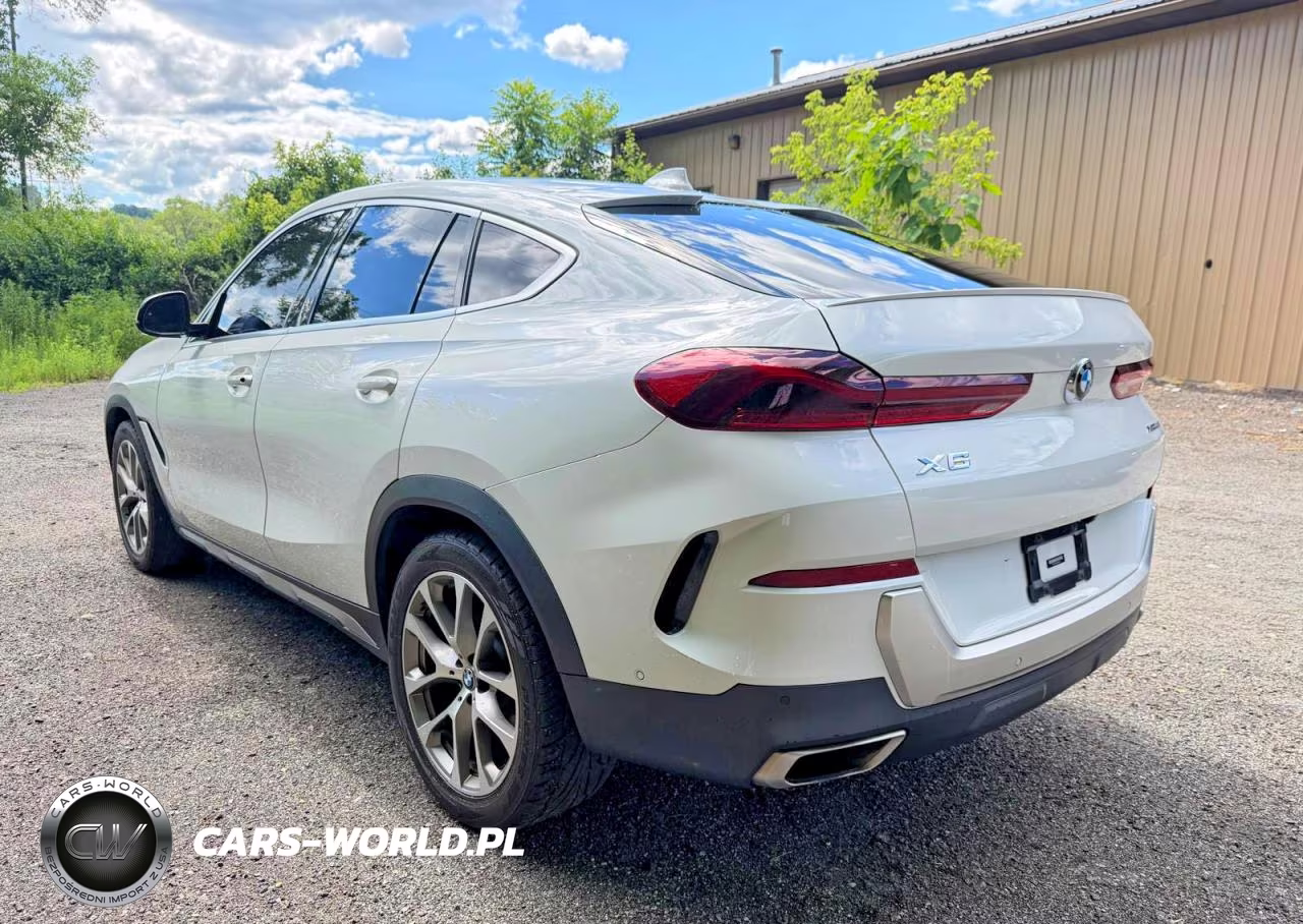 2020 BMW X6 xDrive40I VIN:5UXCY6C0XL9D21128 - 3