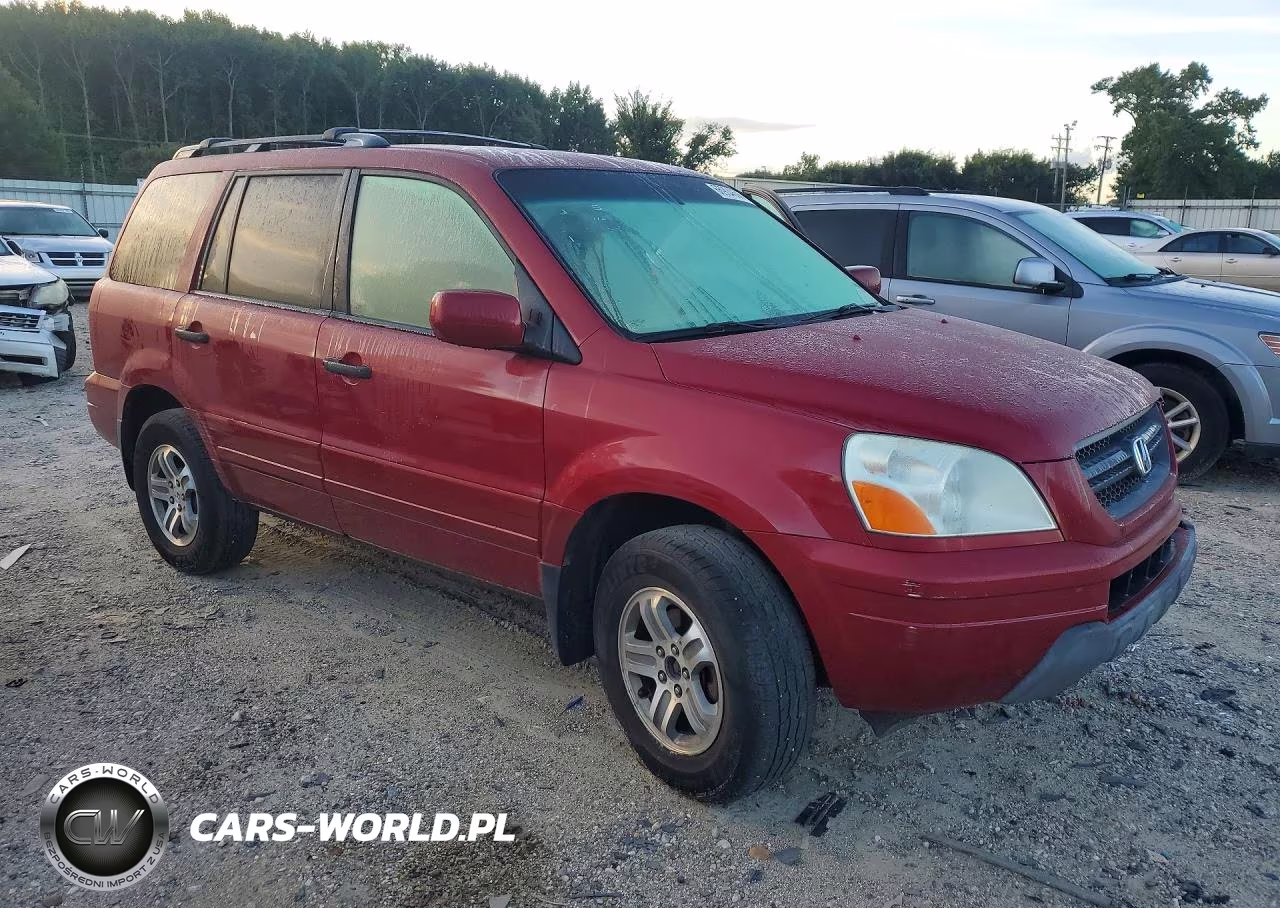 2004 Hond Pilot VIN:5FNYF18634B003255 - 4
