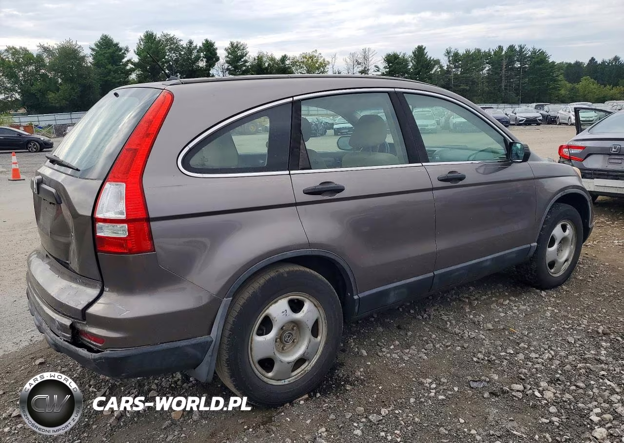 2010 Honda Cr-V Lx VIN:5J6RE3H33AL047462 - 3