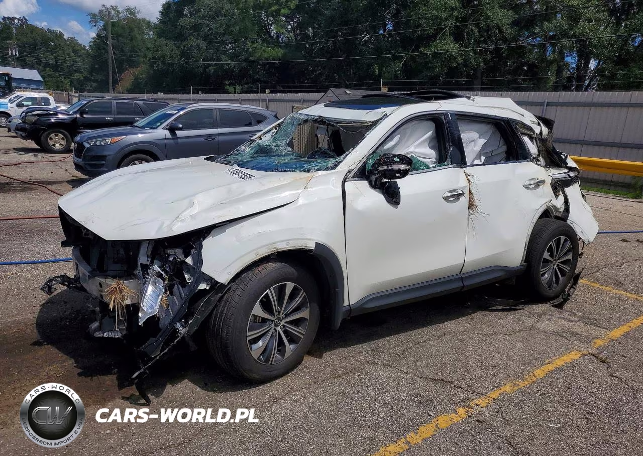 2023 Infiniti Qx60 Pure VIN:5N1DL1ER0PC368205 - 1
