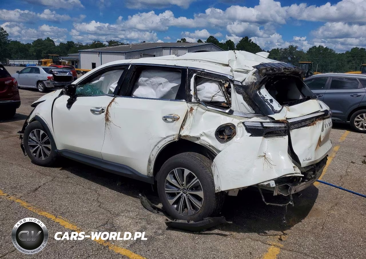 2023 Infiniti Qx60 Pure VIN:5N1DL1ER0PC368205 - 2