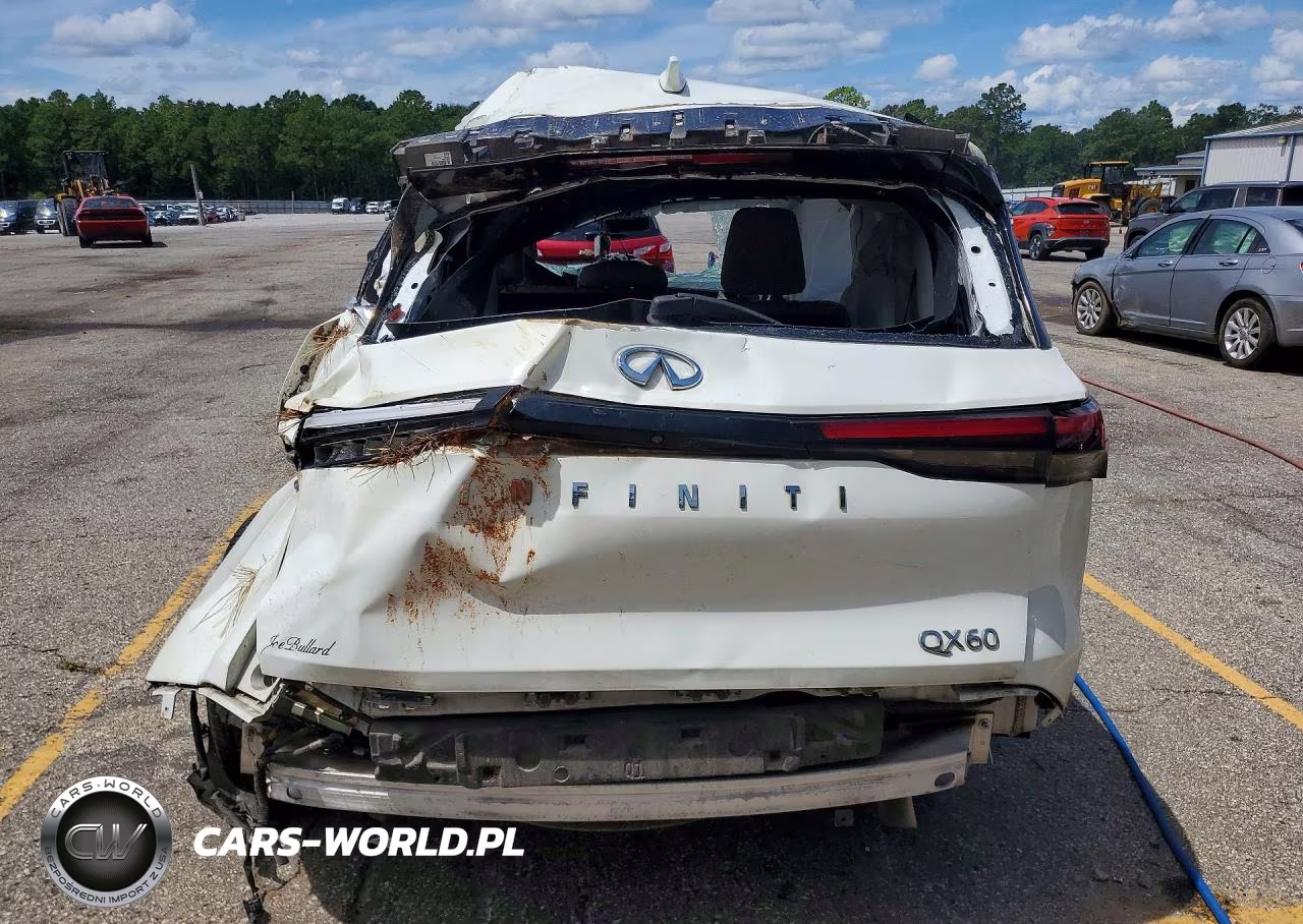 2023 Infiniti Qx60 Pure VIN:5N1DL1ER0PC368205 - 6