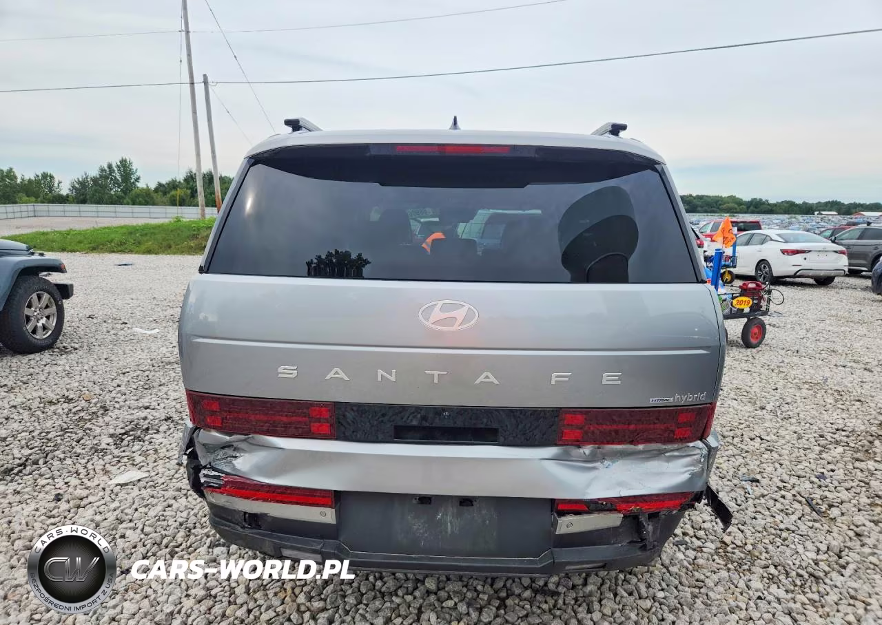 2025 Hyundai Santa Fe Limited VIN:5NMP3DG12SH024699 - 6