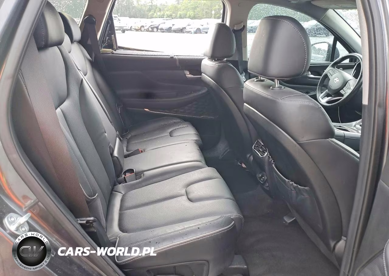 2023 Hyundai Santa Fe Limited VIN:5NMS5DA15PH016293 - 11