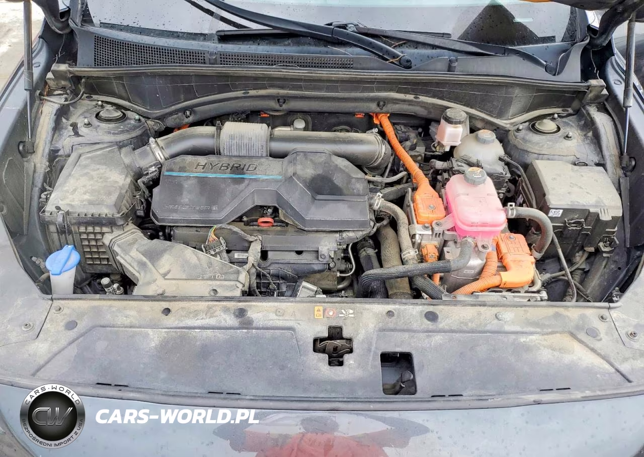 2023 Hyundai Santa Fe Limited VIN:5NMS5DA15PH016293 - 12