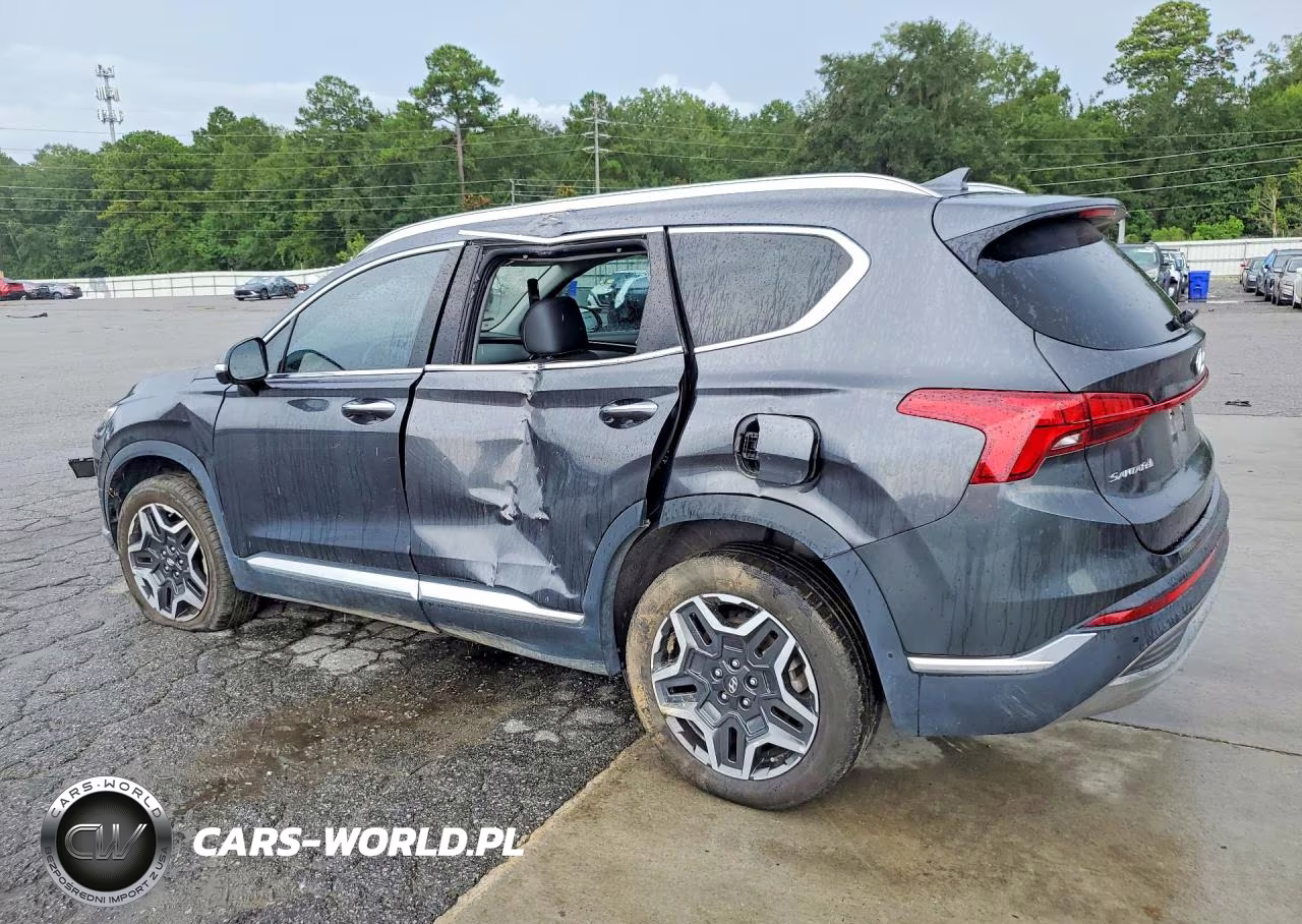 2023 Hyundai Santa Fe Limited VIN:5NMS5DA15PH016293 - 2