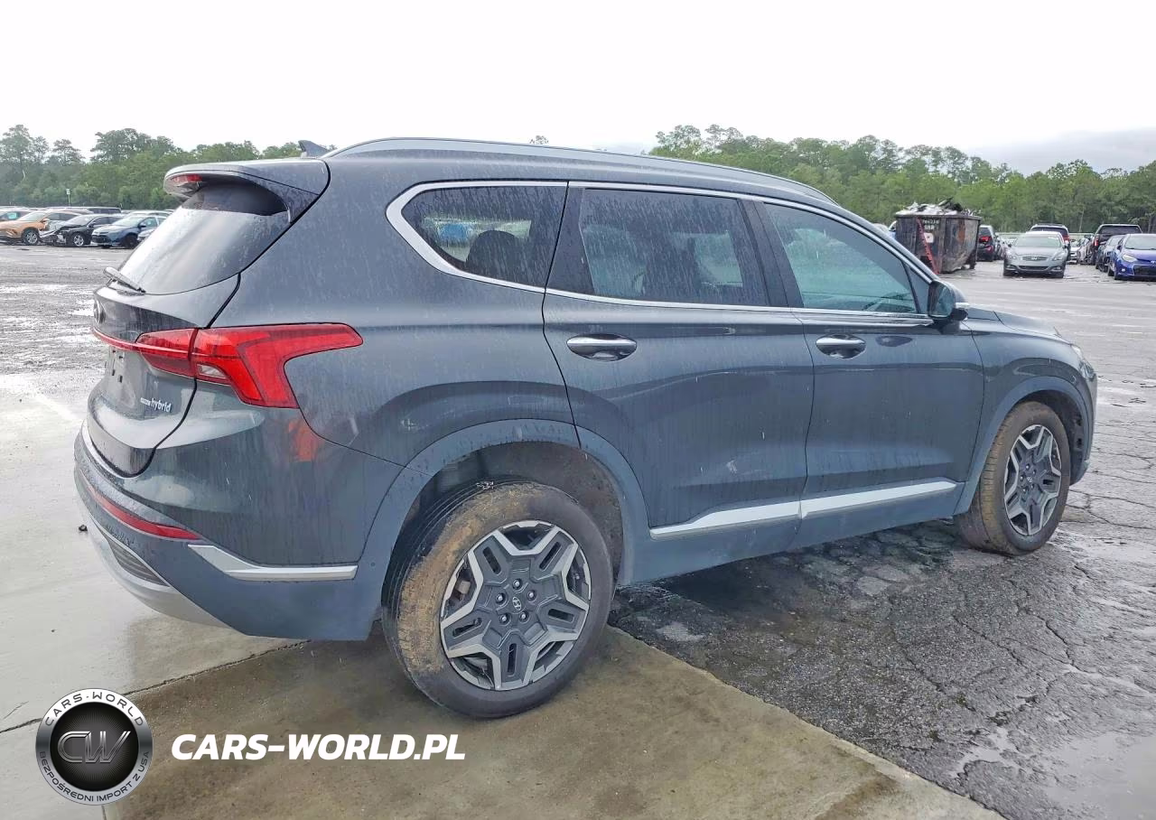 2023 Hyundai Santa Fe Limited VIN:5NMS5DA15PH016293 - 3