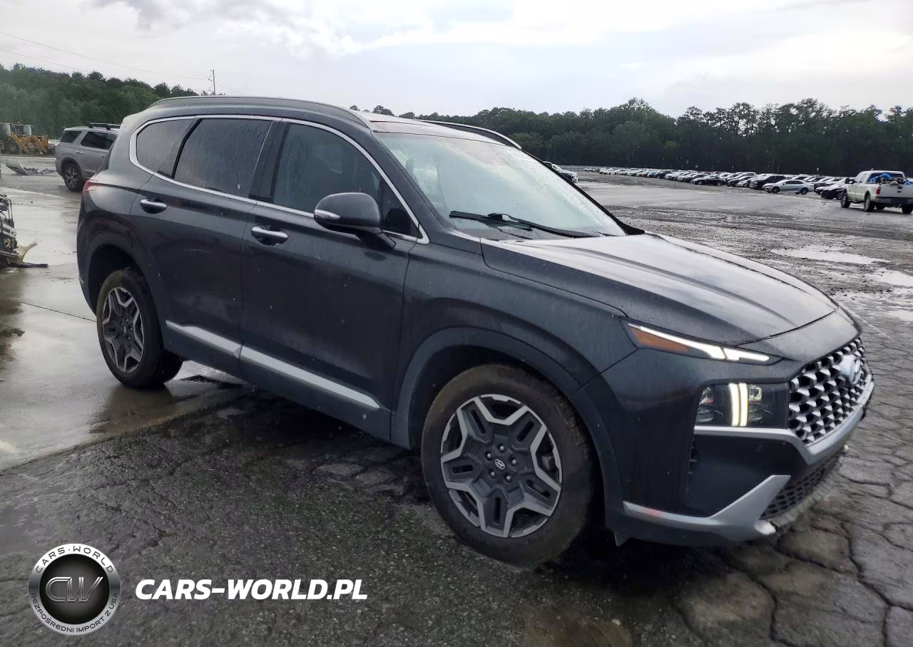 2023 Hyundai Santa Fe Limited VIN:5NMS5DA15PH016293 - 4