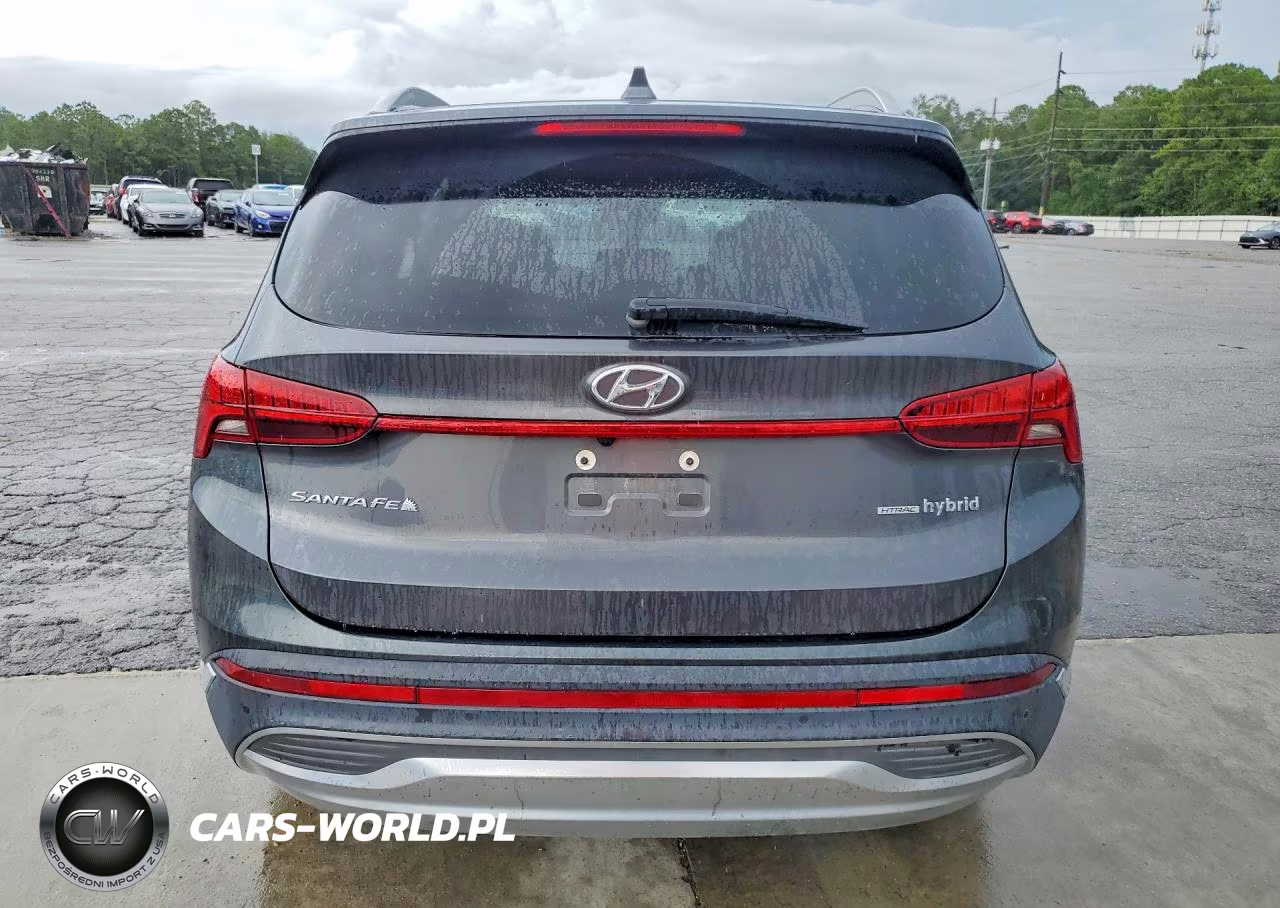 2023 Hyundai Santa Fe Limited VIN:5NMS5DA15PH016293 - 6