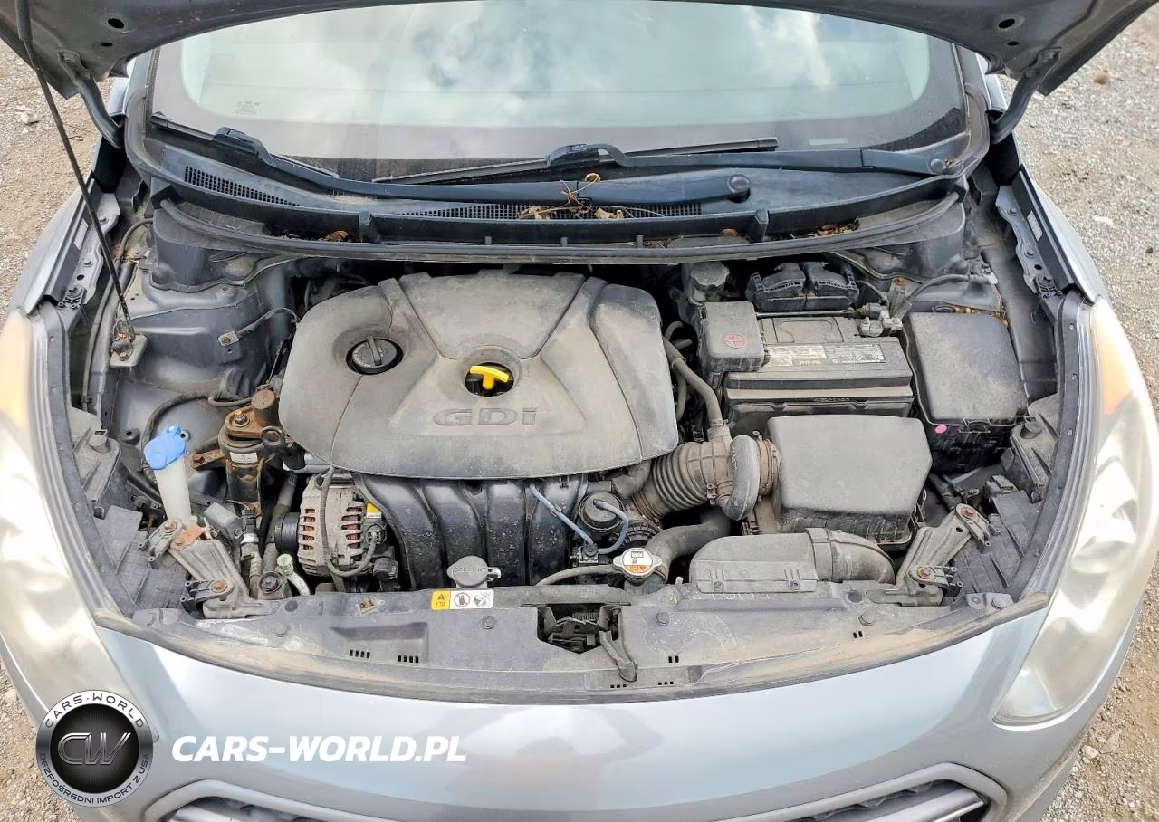 2016 Hyundai Elantra Gt Base VIN:KMHD35LH9GU310069 - 11