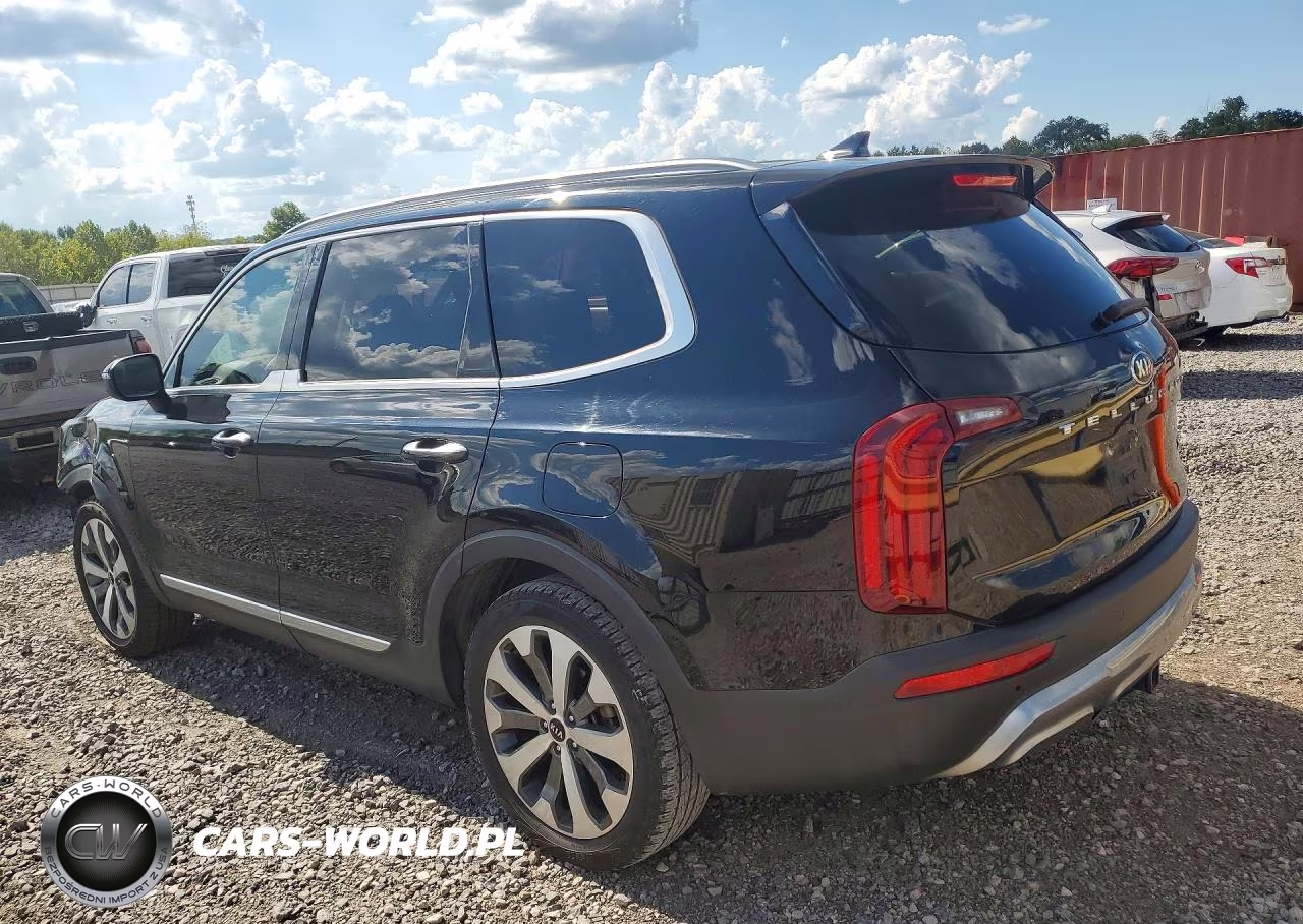 2020 Kia Telluride S VIN:5XYP64HC6LG077053 - 2