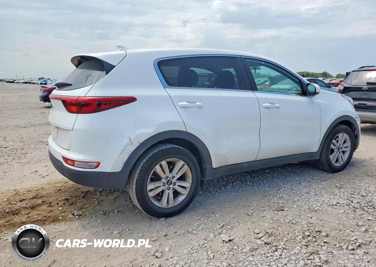 2019 Kia Sportage Lx VIN:KNDPM3AC5K7610600 - 3