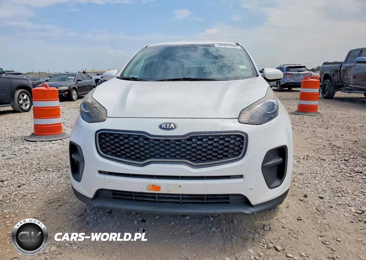 2019 Kia Sportage Lx VIN:KNDPM3AC5K7610600 - 5