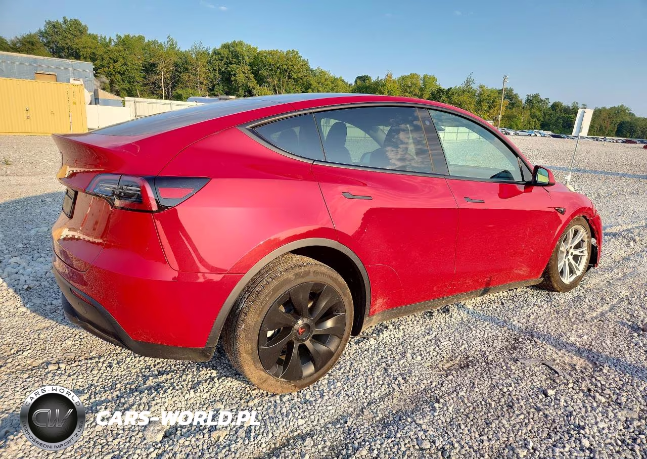 2023 Tesla Model Y VIN:7SAYGDEE4PF662902 - 3