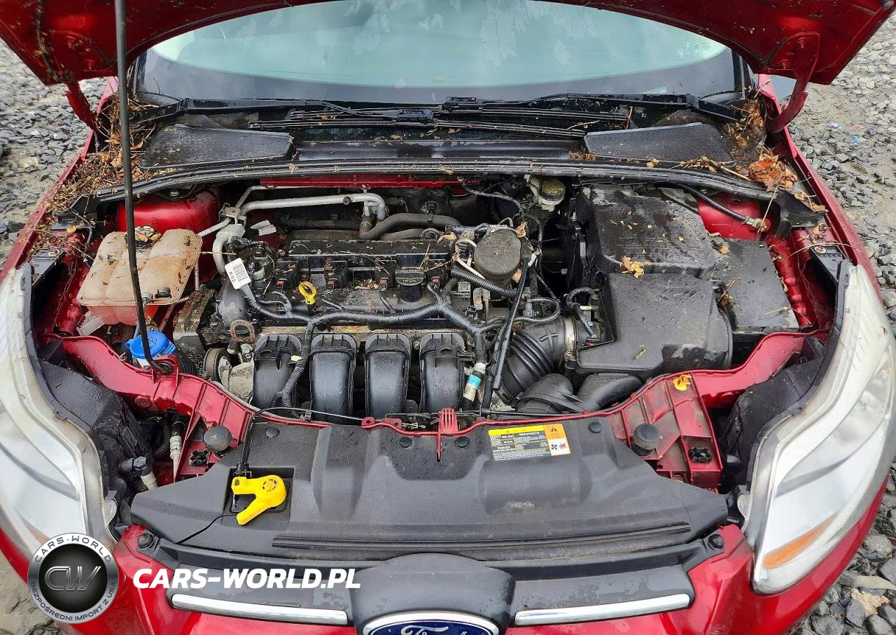 2013 Ford Focus Se VIN:1FADP3F22DL186142 - 11