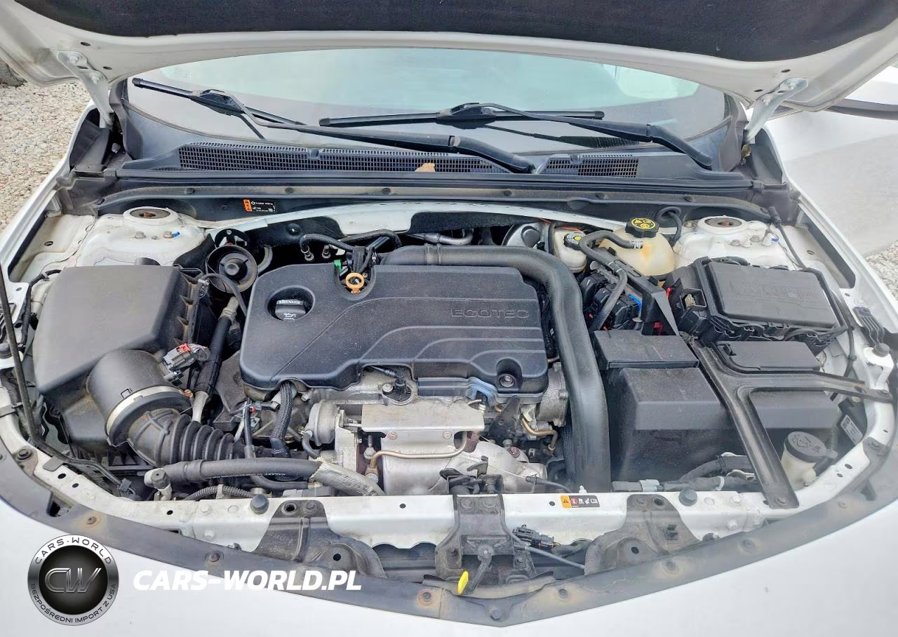 2019 Chevrolet Malibu Lt VIN:1G1ZD5ST4KF161718 - 11