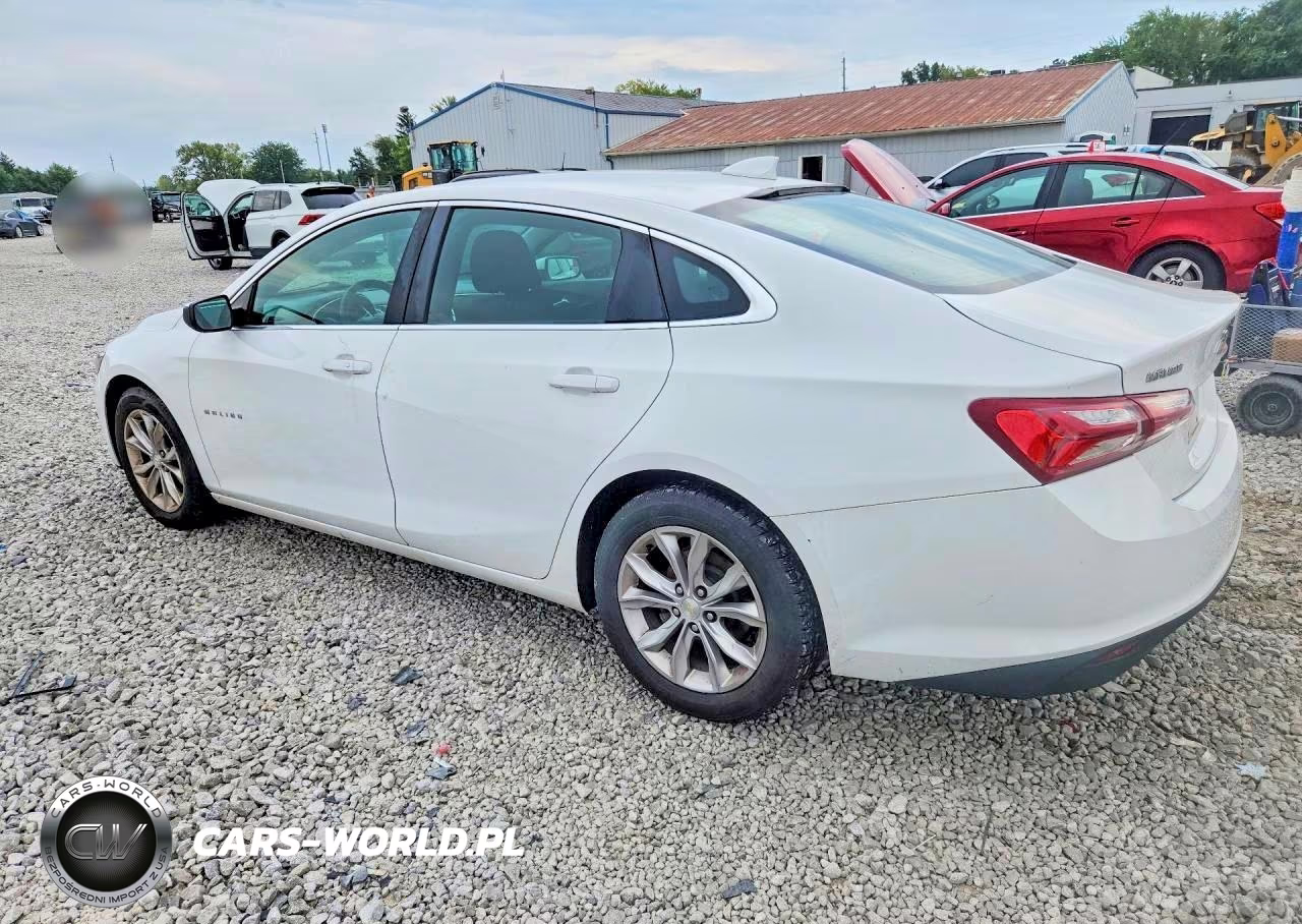 2019 Chevrolet Malibu Lt VIN:1G1ZD5ST4KF161718 - 2