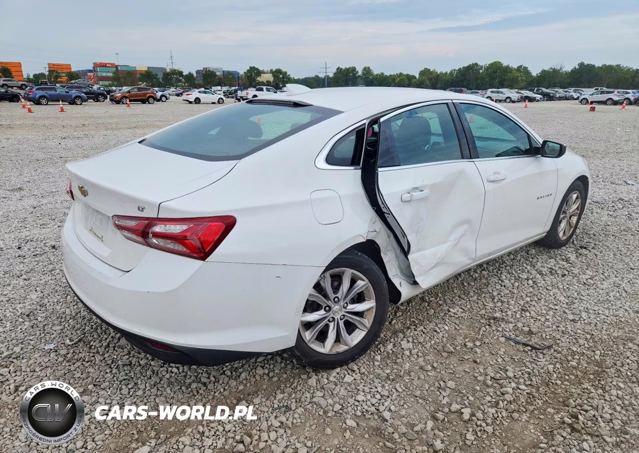2019 Chevrolet Malibu Lt VIN:1G1ZD5ST4KF161718 - 3