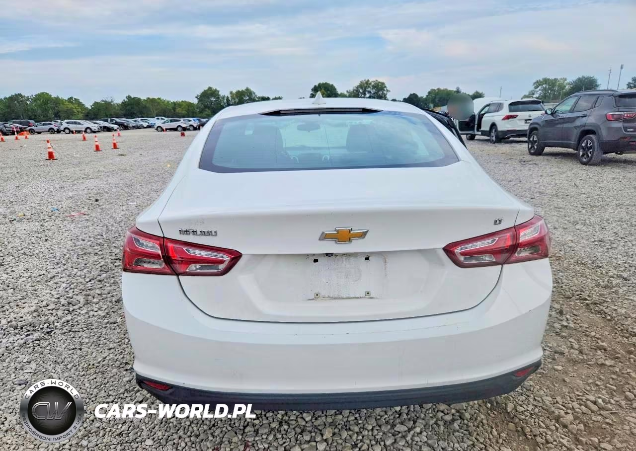 2019 Chevrolet Malibu Lt VIN:1G1ZD5ST4KF161718 - 6