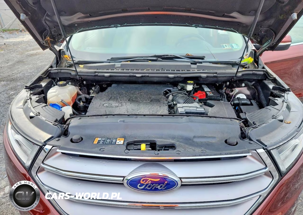 2016 Ford Edge Sel VIN:2FMPK4J8XGBC55876 - 12