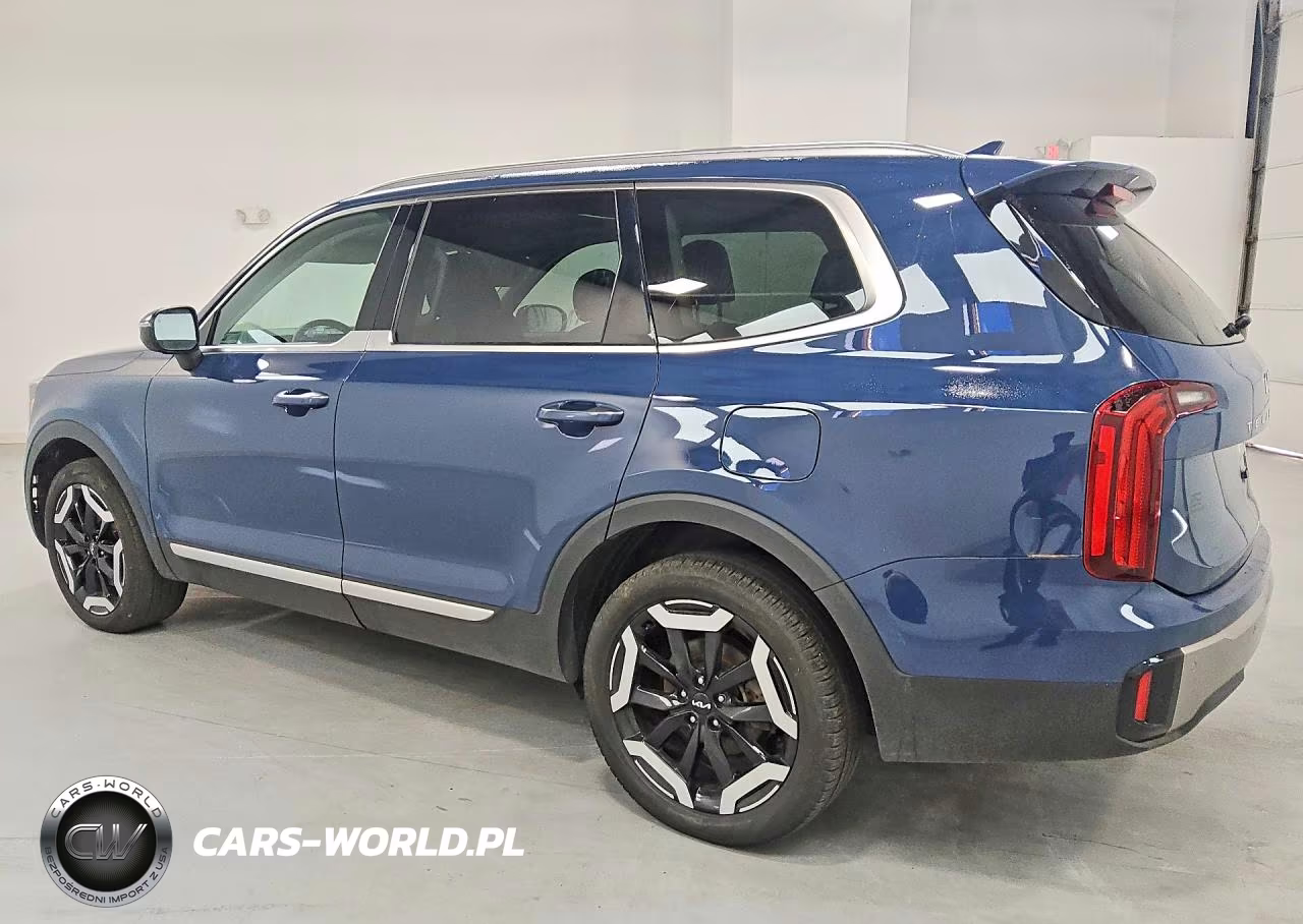 2025 Kia Telluride S VIN:5XYP6DGCXSG599443 - 2