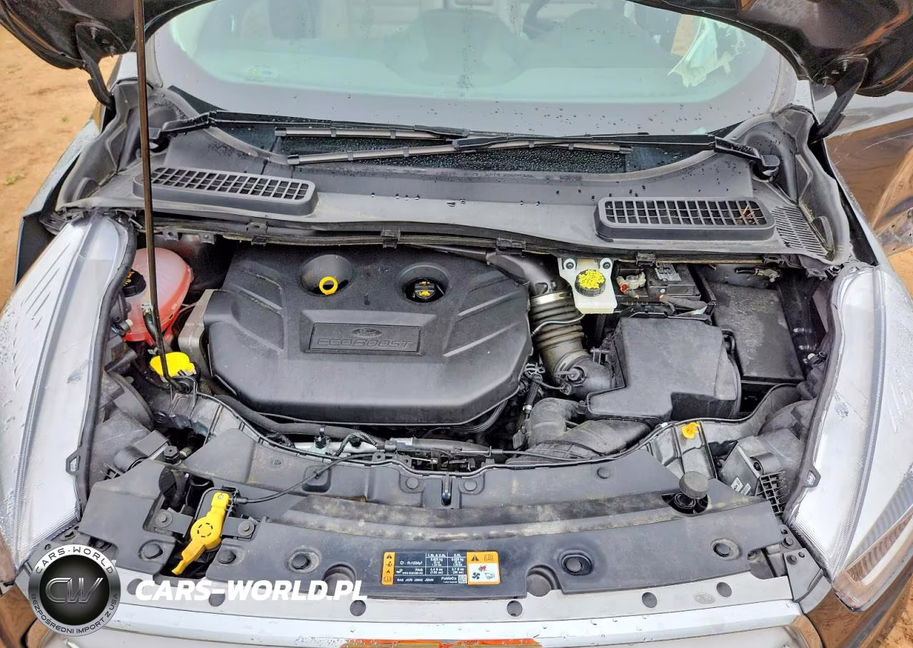 2019 Ford Escape Titanium VIN:1FMCU9J90KUA99445 - 12