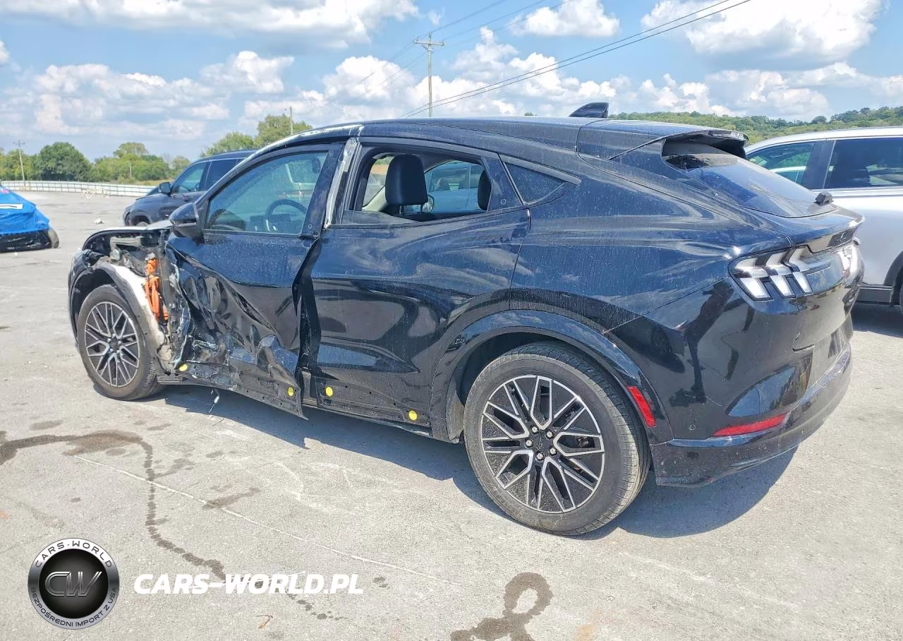 2024 Ford Mustang Mach-E Premium VIN:3FMTK3SUXRMA11554 - 2