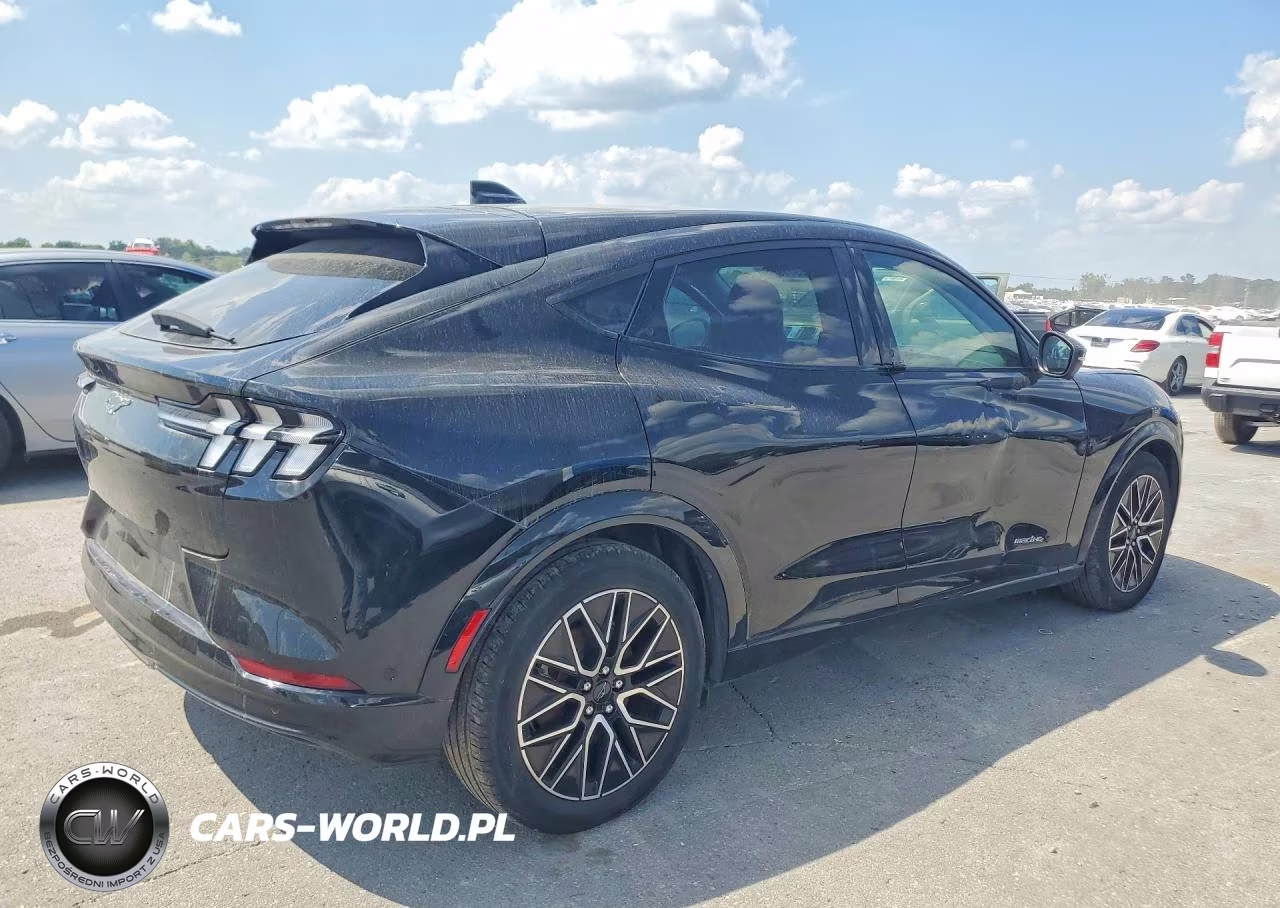 2024 Ford Mustang Mach-E Premium VIN:3FMTK3SUXRMA11554 - 3