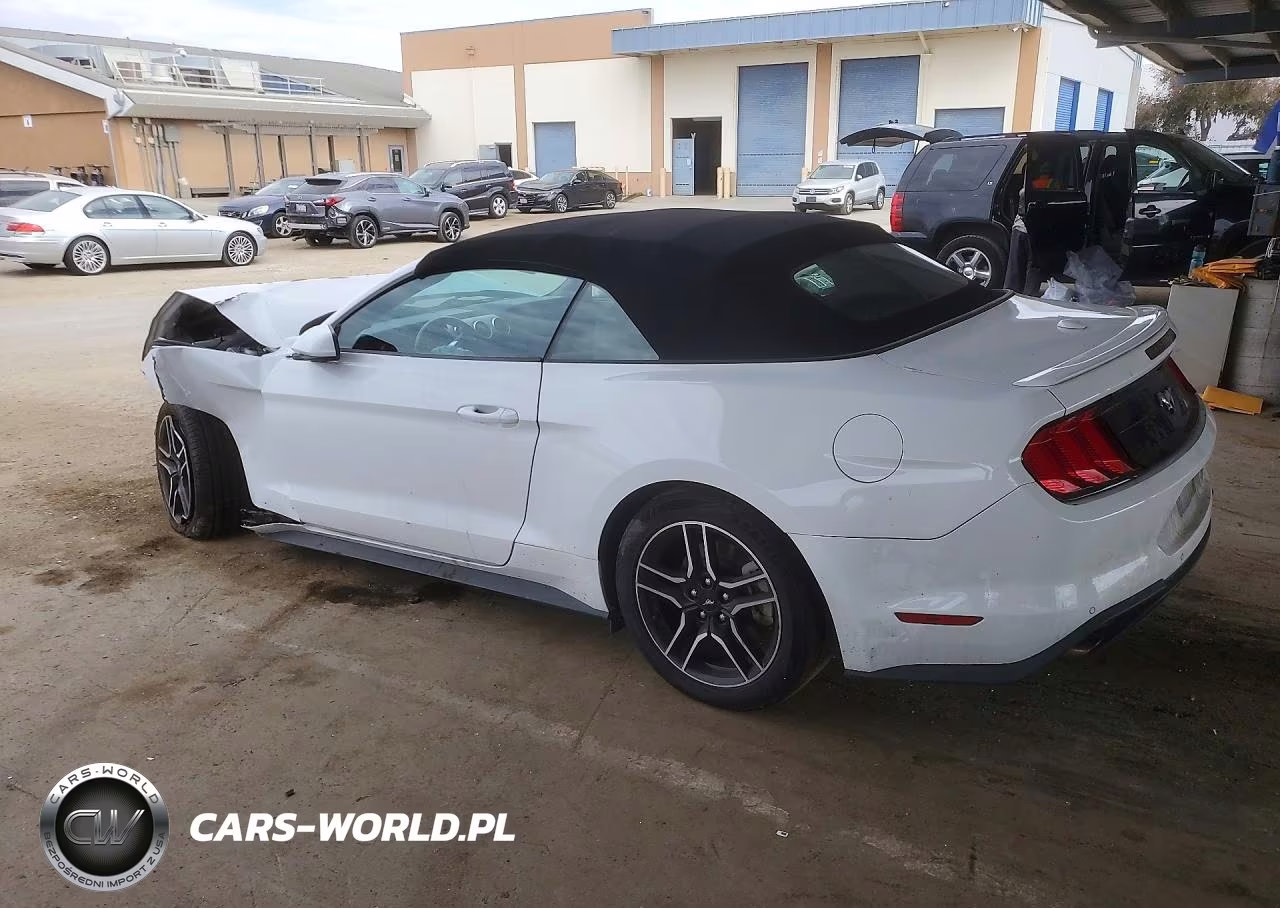 2023 Ford Mustang VIN:1FATP8UH4P5110768 - 2