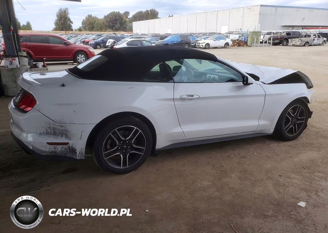 2023 Ford Mustang VIN:1FATP8UH4P5110768 - 3